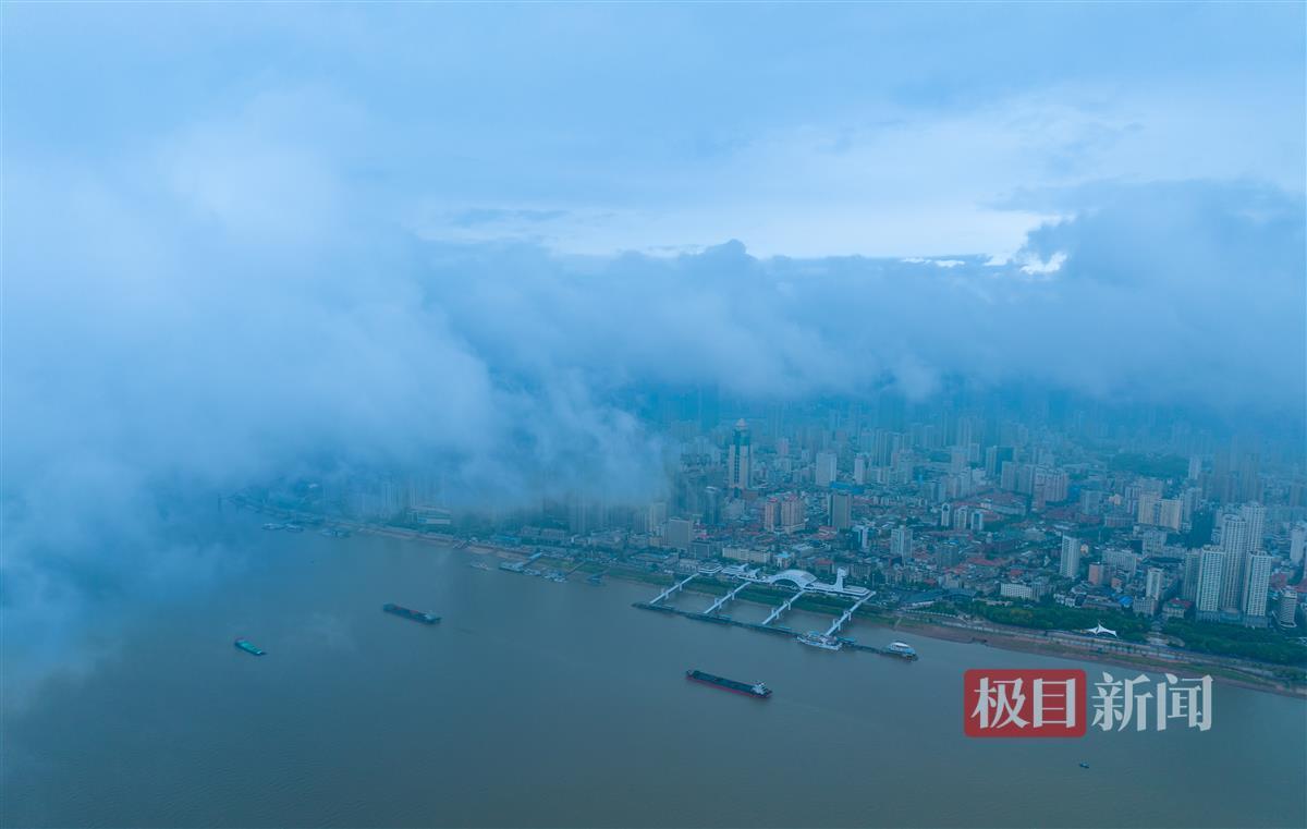美梅高注册平台
